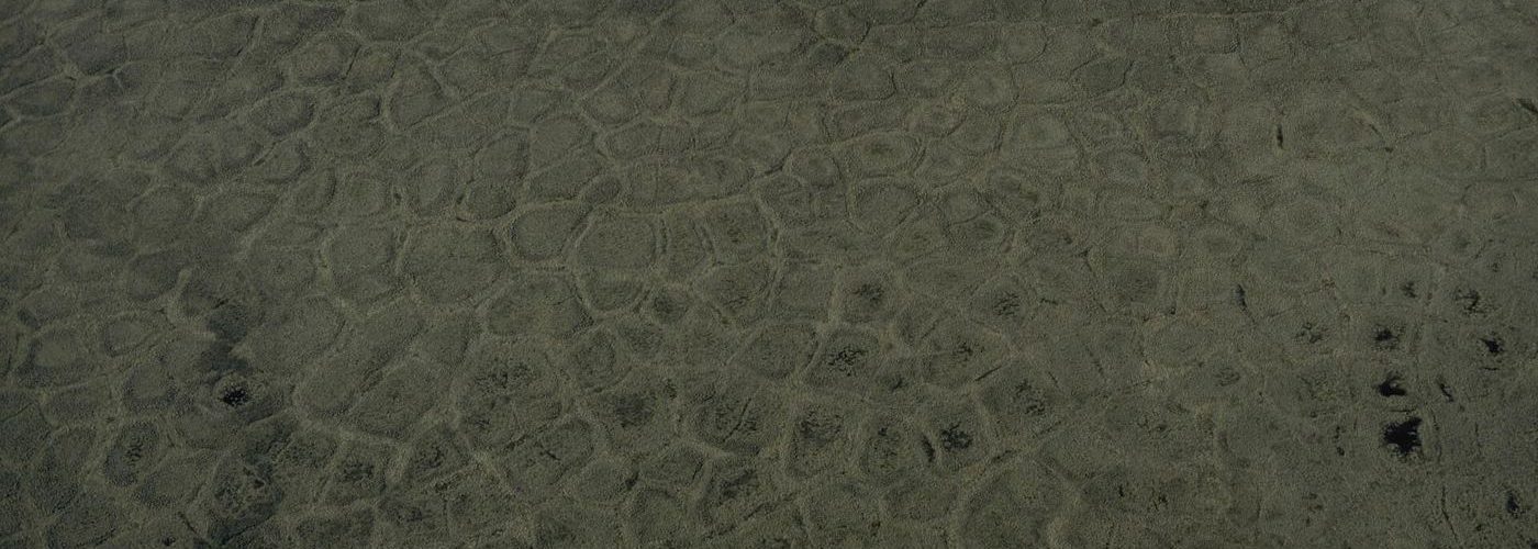 cracked tundra landscape in the far north