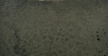 cracked tundra landscape in the far north